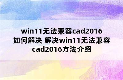 win11无法兼容cad2016如何解决 解决win11无法兼容cad2016方法介绍
